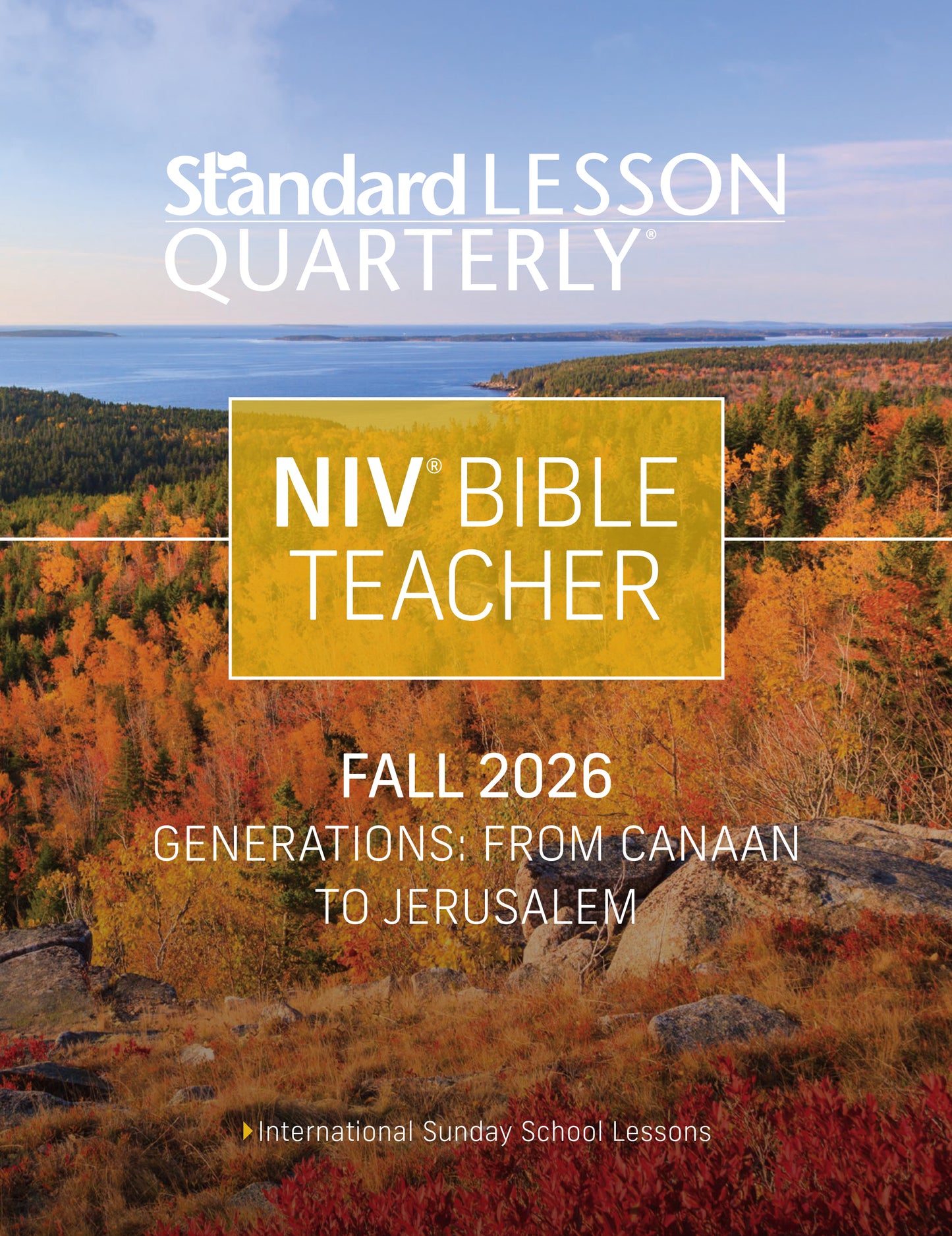 Standard Lesson Quarterly NIV Bible Teacher