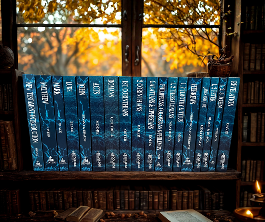 NIV New Testament Commentary Set