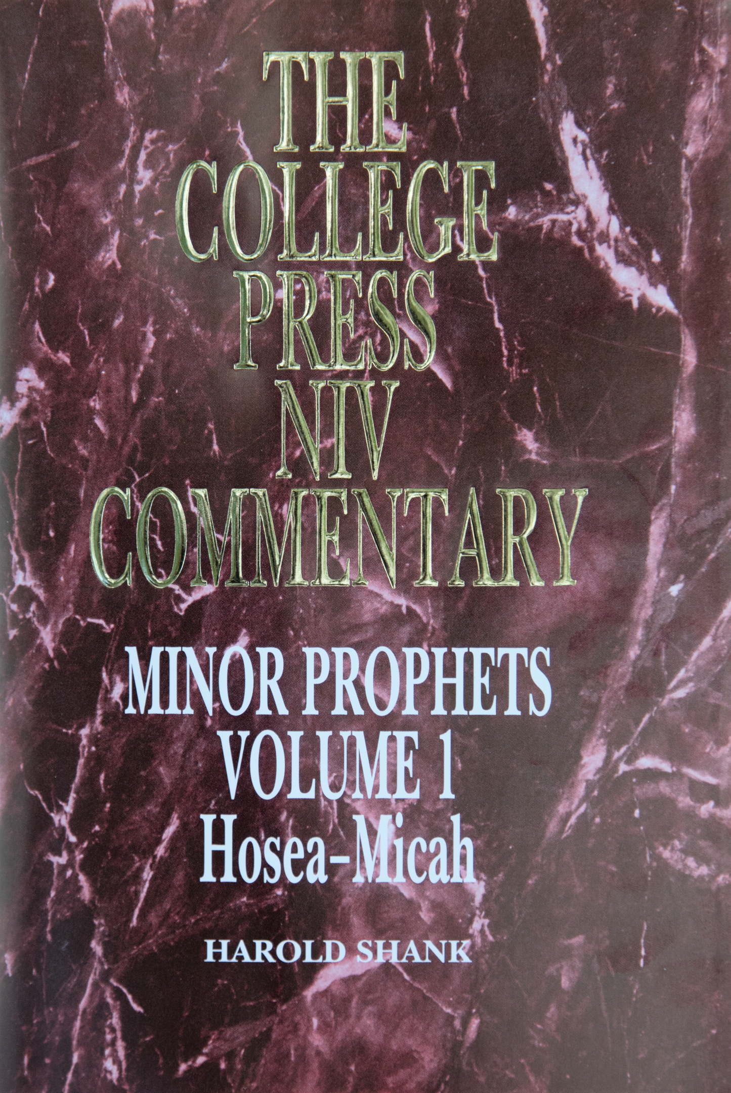 Minor Prophets Volume 1 - NIV