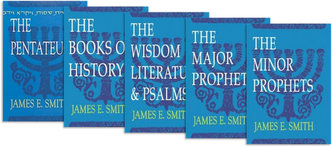Old Testament Survey Series Set
